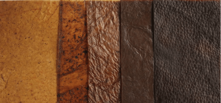 Leia mais sobre o artigo Estudantes Brasileiros são premiados por produzirem tecido a partir do Kombucha!